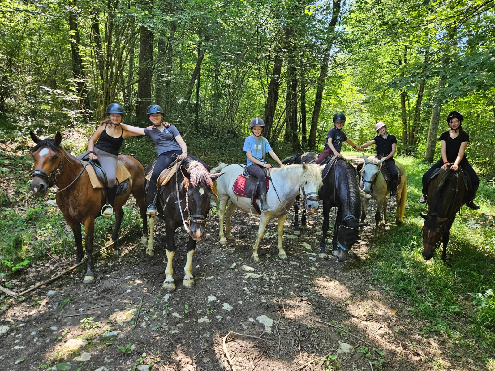 ACTIVITÉ AVEC LES CHEVAUX POUR TOUS